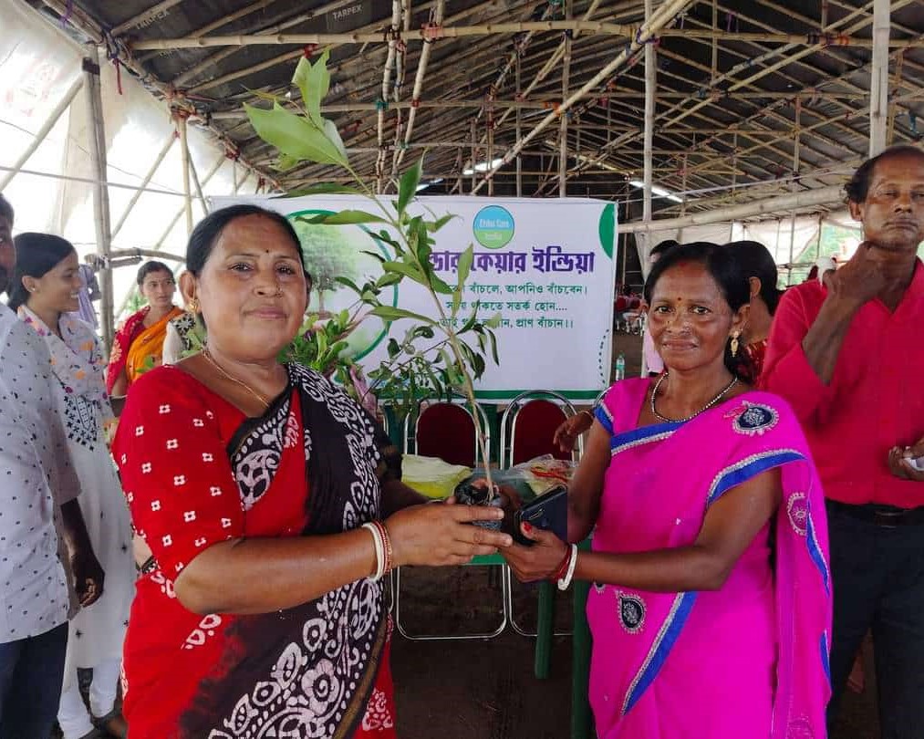 Tree Distribution Drive